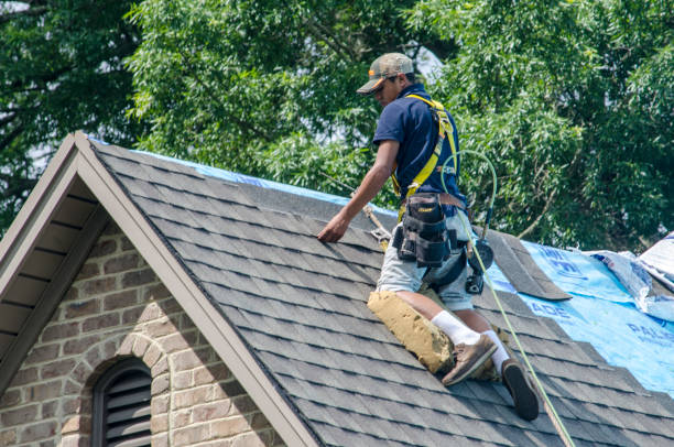 Quick and Trustworthy Emergency Roof Repair Services in Venice Gardens, FL